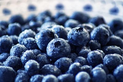 Die besten Superfoods für ein starkes Immunsystem