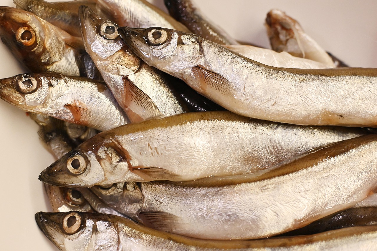 entdecken sie die kunst des kochens mit unseren einfachen rezepten, tipps und techniken für hobbyköche und gourmets gleichermaßen. verleihen sie ihren gerichten neuen schwung und genießen sie unvergessliche geschmackserlebnisse!