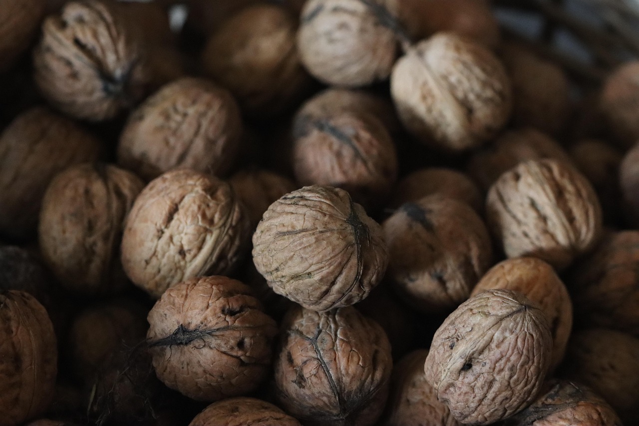 entdecken sie die vorteile von superfoods – nährstoffreiche lebensmittel, die ihre gesundheit und ihr wohlbefinden auf natürliche weise stärken.