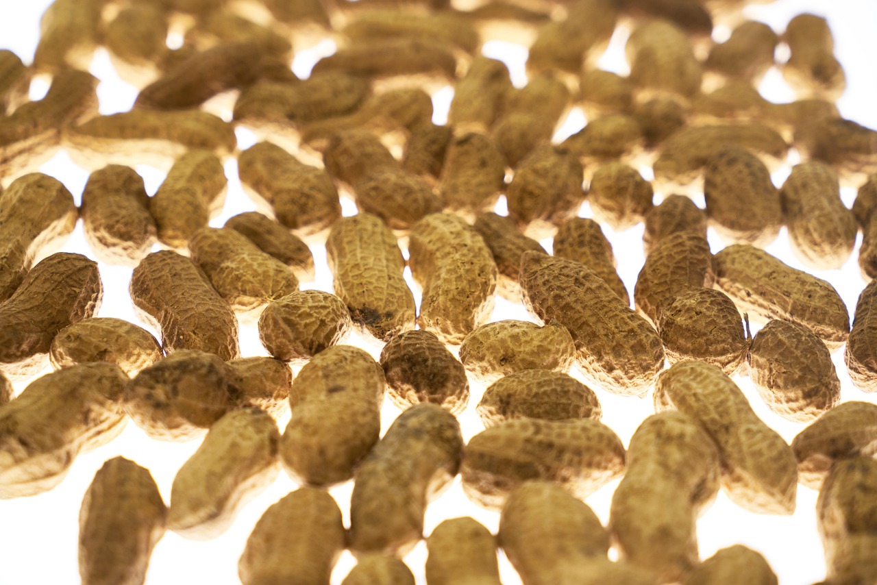 entdecken sie die vorteile von vitaminen und mineralstoffen für ihre gesundheit und wohlbefinden. erfahren sie, wie diese nährstoffe ihr immunsystem stärken und energie liefern.